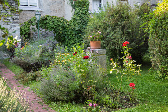 Garden design and landscaping: Garden or park with lush growing and blooming roses, lavender, foliage plants and green bushes along a nature stone sidewalk in an old inner courtyard