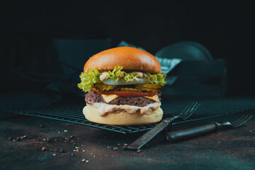 sandwich with cheese  burger