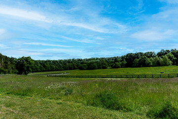 St Catherine’s Park, a 220  acre park consisting of woodlands and grassland which straddles Dublin and Kildare. The River Liffey flows through here.  .