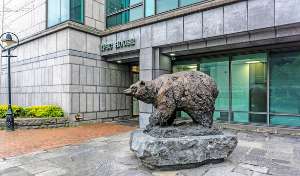 The sculpture  by Don Cronin, of a bear outside the Irish Financial Services Centre  (IFSC) in Dublin’s Docklands.
