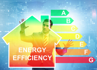 Businessman in energy efficiency concept