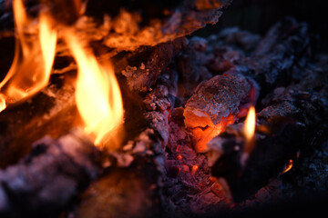 wooden logs  burning in campfire at evening outdoor. close up