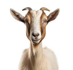 Lovely goat is standing isolated on white background. Generative AI image illustration. Beautiful animals concept