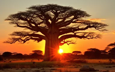 Keuken spatwand met foto Baobab trees in Africa. Generative AI © piai
