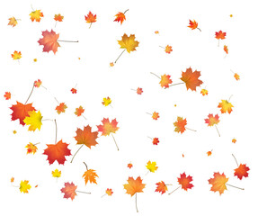 Red, orange, brown and yellow autumn leaves.