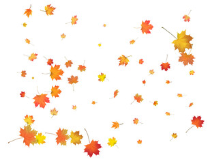 Red, orange, brown and yellow autumn leaves.