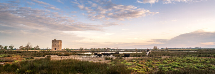 Landscape with bulls and guardians in Camargue - 653472321