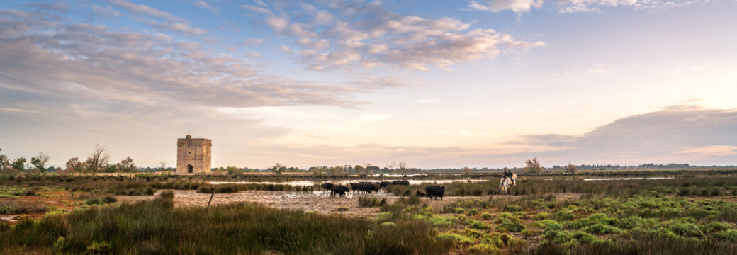 Landscape with bulls and guardians in Camargue