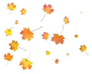 Background with golden autumn leaves