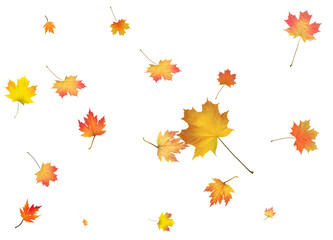 Background with golden autumn leaves