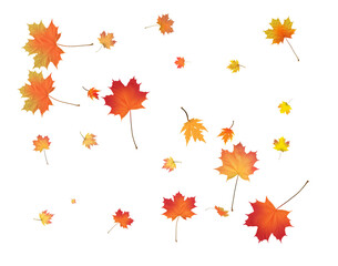 Fototapeta premium Pattern with Colorful Autumn leaves.