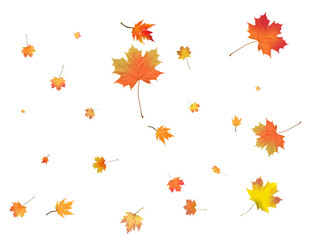 Pattern with Colorful Autumn leaves.