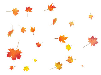 Pattern with Colorful Autumn leaves.