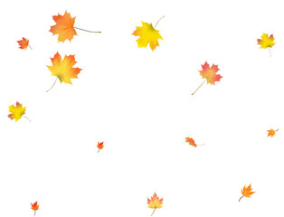 Pattern with Colorful Autumn leaves.