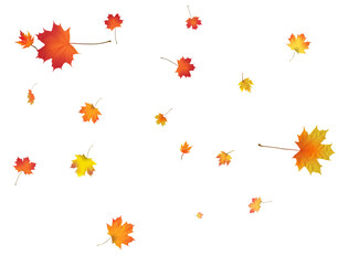 Autumn background made of beautiful maple leaves.