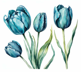 Blue tulip flower on paper, drawing watercolor painting - obrazy, fototapety, plakaty