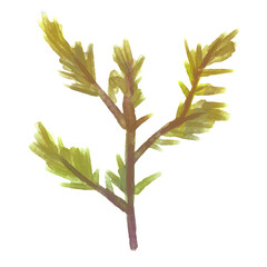 Watercolor Woodland Branches