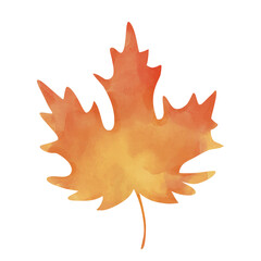 Watercolor autumn maple leaf