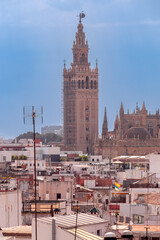Fototapeta premium Seville Cathedral and Giralda Tower in the early morning. Seville. Spain. Andalusia.