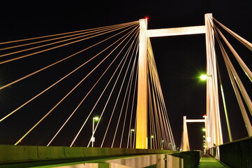Tri-Cities Cable Bridge