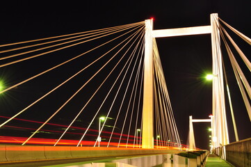 Motion Cable Bridge