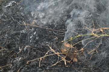 selective focus, burning residue of dry grass.