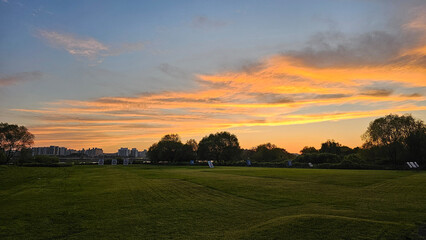 Naklejka premium sunset over the field
