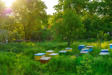 Bee hives. Background with selective focus and copy space