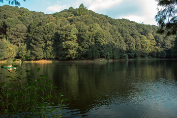 Fototapeta na wymiar Paisaje boscoso en Presa del llano, Estado de México. El espeso bosque se refleja en el agua del lago.