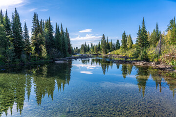 Obrazy na Plexi  Cottonwood Creek In the Grand Teton National Park with Alpine Tree and Clear Water in Wyoming