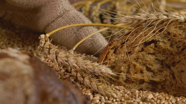 Rye dark bread made with flour from grain. Ears of grain stem of cereal wheat plant in bindle bag after harvest activity. Grain elevator, agrarian facility complex designed to stockpile or store grain