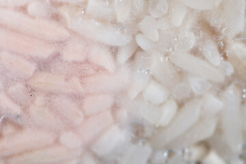 Bacillus cereus is a toxin producing bacteria that is one of the most common causes of food...