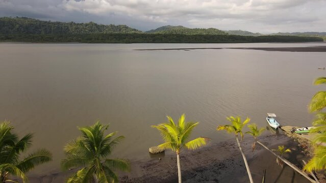 Drone shot passing through palm trees to discover a river in Costa Rica. Filmed in Zancudo Bay in southern Costa Rica during a nice sunset.