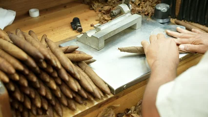 Zelfklevend Fotobehang Close up of male hands making cigars from dry tobacco leaves on the rolling factory table. Cut, twist and gluing. The finished handmade product in stack © Bankerok