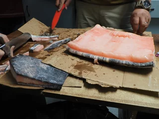 eating raw narwhal in the Canadian Arctic : hunting and subsistence © flyingwalrus