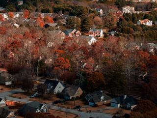 autumn in the  beautiful suburbs 