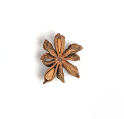 single star anise close up isolated on a white background (spices for cooking cut out) indian cuisine (licorice flavoring seed) curry ingredient