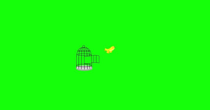 Freedom of a yellow canary bird captive in a cage greenbox isolated version. Cartoon character animation cute animal. Making freee good as metaphor for any material.