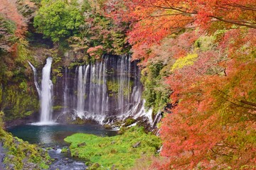 紅葉につつまれる白糸ノ滝/富士宮市 　秋の風景