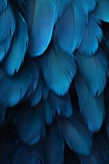 Fototapeta premium Macro of Blue Feathers Texture as Background. Swan Feather. Dark Blue Feather Vintage Backdrop | Generative AI