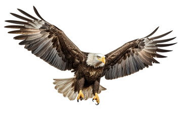 Obraz premium a beautiful American Eagle flying full body on a white background studio shot