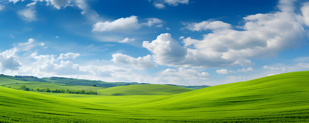 Beautiful spring natural panorama of a field of young green wheat on the hills against a blue sky with clouds