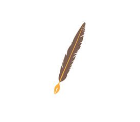 Feather bird pen cartoon a PNG plume vector design