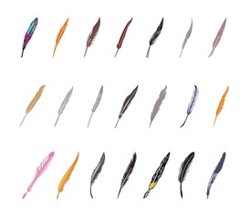 Collection feather bird pen cartoon a plume set vector design
