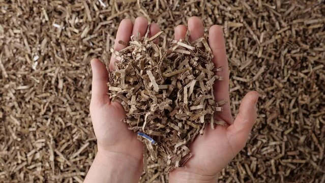 Shredded cardboard. Eco friendly, recycle, reuse, zero waste