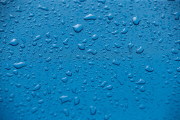 Water drops on a blue background. 