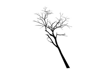 Isolated image of leafless tree silhouette on transparent background png file.