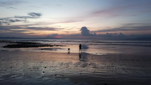 Drone shot of a woman and her dog on the beach during sunset. The sky reflects in the water during twilight.