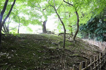 晩夏の栗林公園