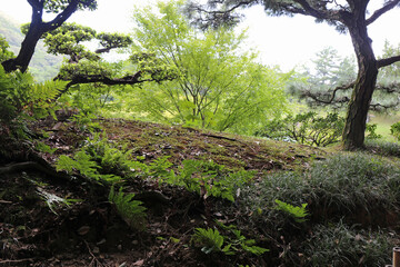 晩夏の栗林公園
